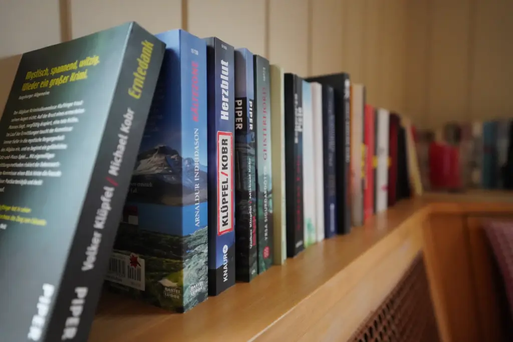 Flößerstube: Bücherregal mit Reiseführern und Romanen