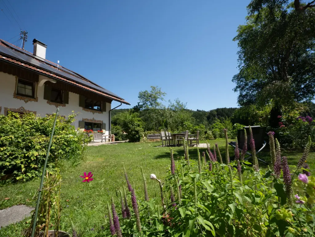 Blühende Blumen im Garten, im Hintergrund Wiese und Sitzplatz