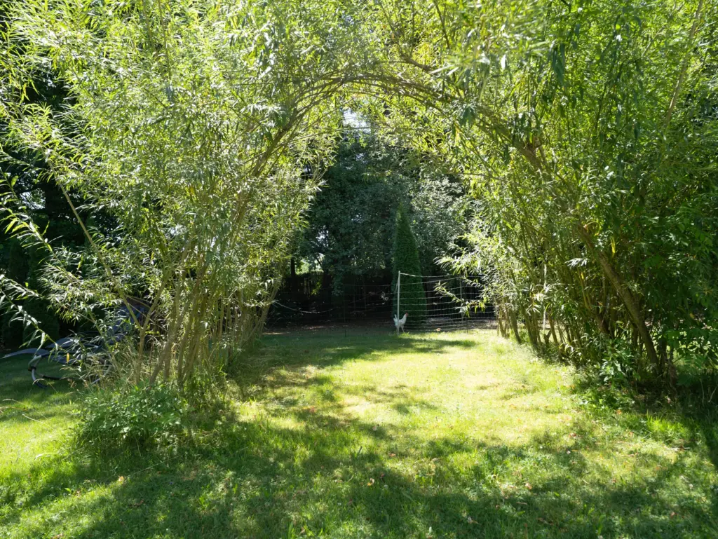 Grüner Weidentunnel im Garten